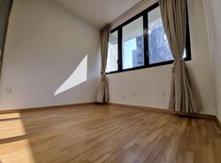 Park Colonial (D13), Condominium #575022761